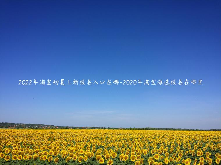 2022年淘寶初夏上新報名入口在哪-2023年淘寶海選報名在哪里